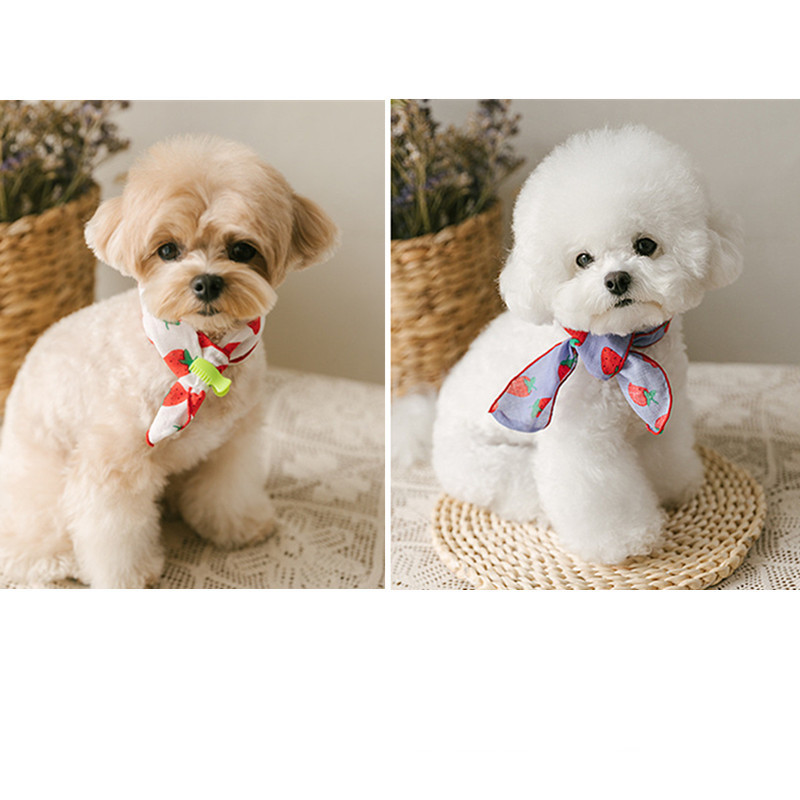 Dog Bib Scarf - White Floral Background