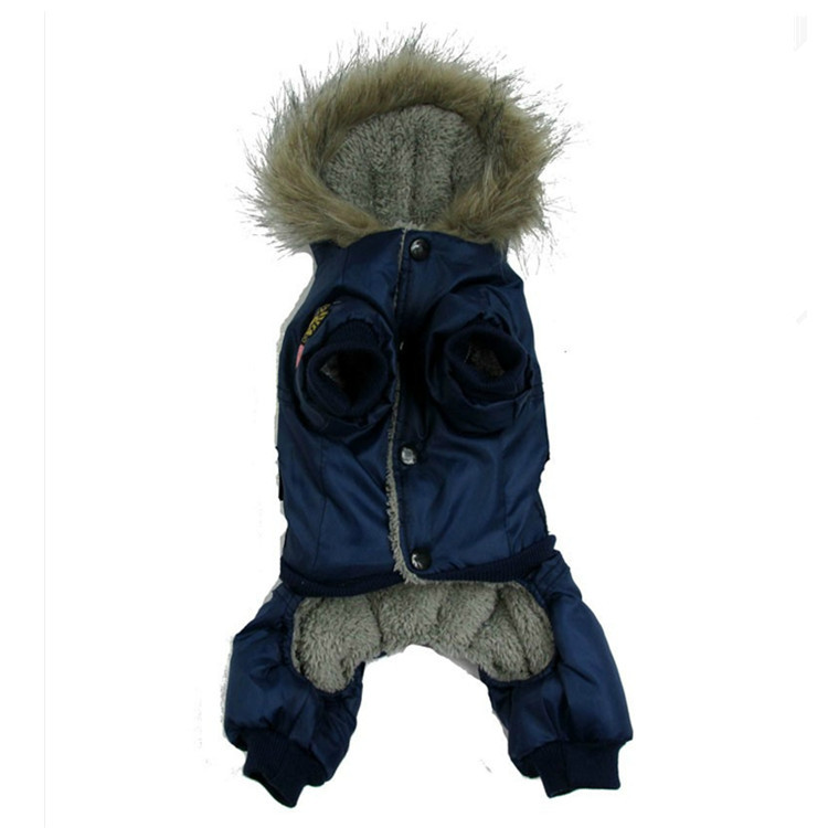 Fashionable Pet Outfits