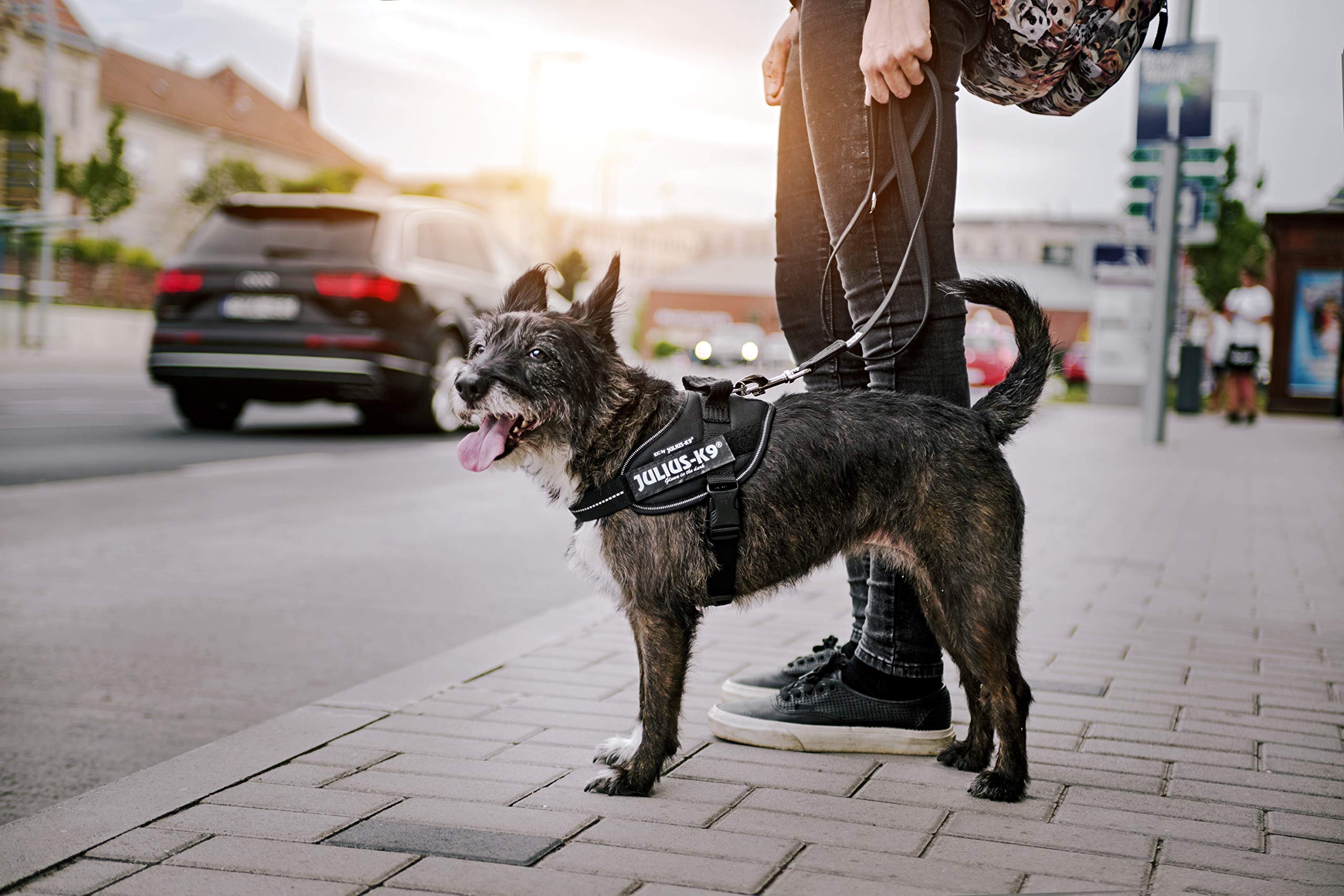 Comfortable Chest Strap