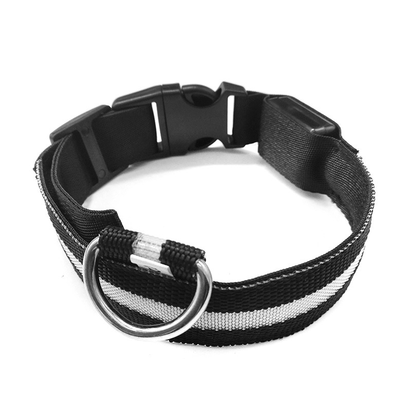 Luminous Dog Collar