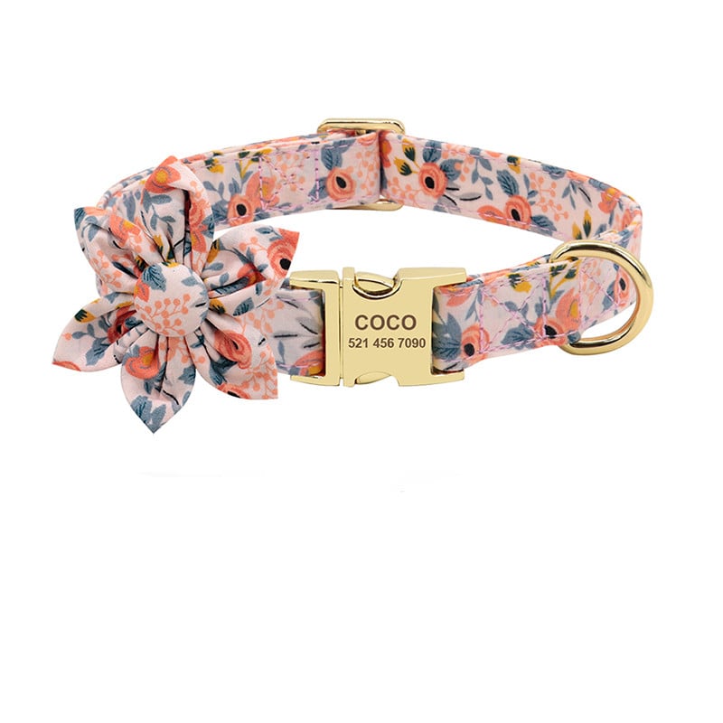Stylish pet collar