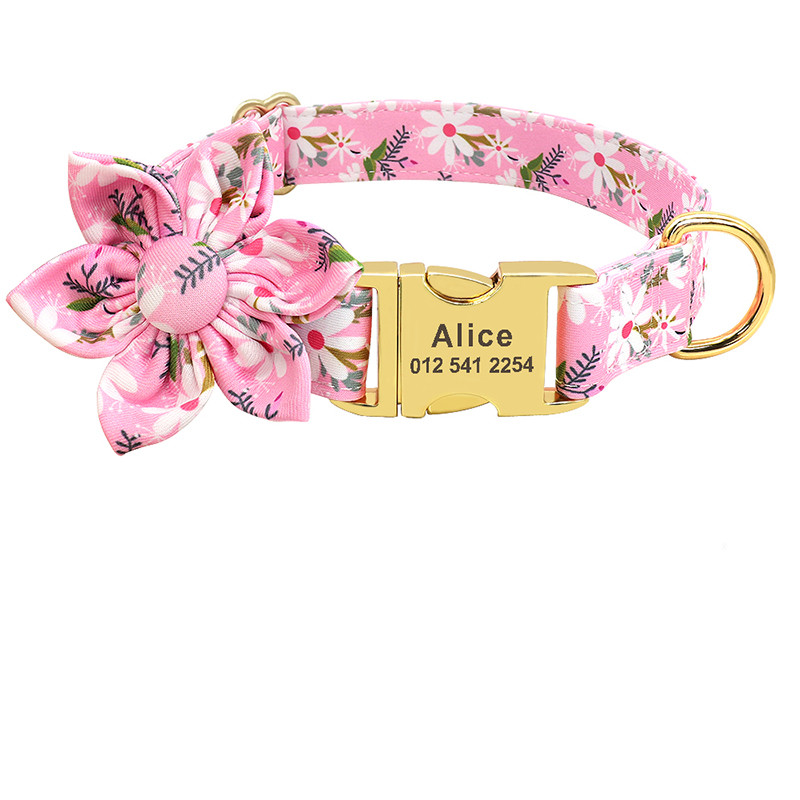 Engraved ID tag collar