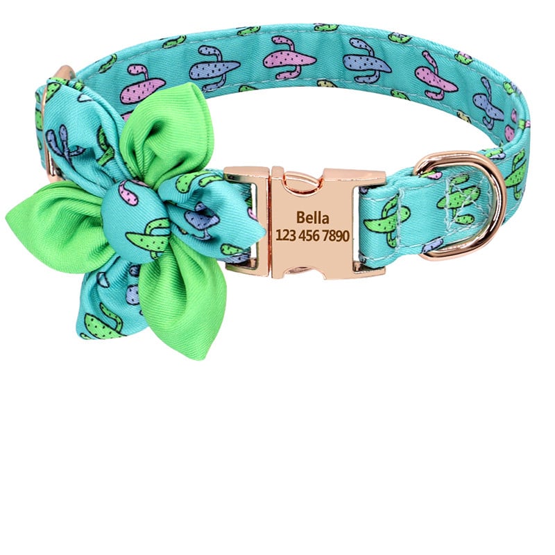Furry friend wearing collar