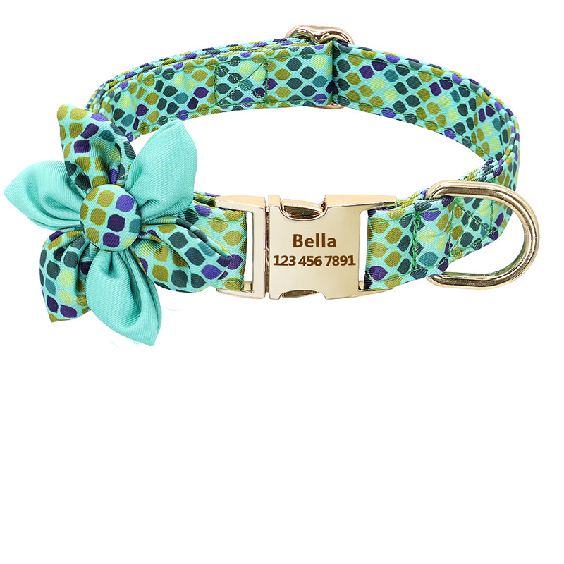 Trendy dog collars