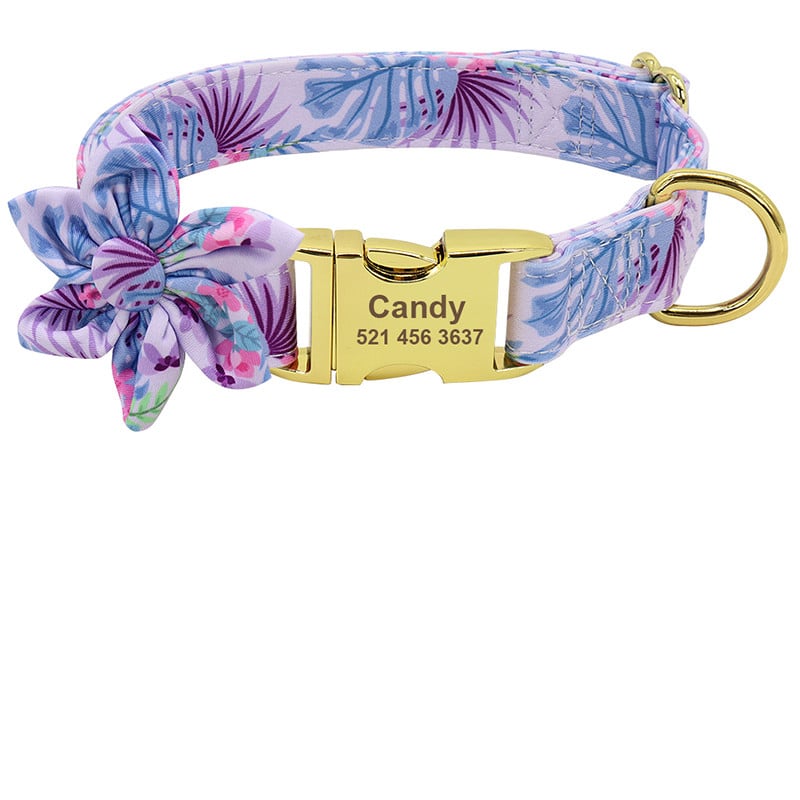 Stylish pet accessories