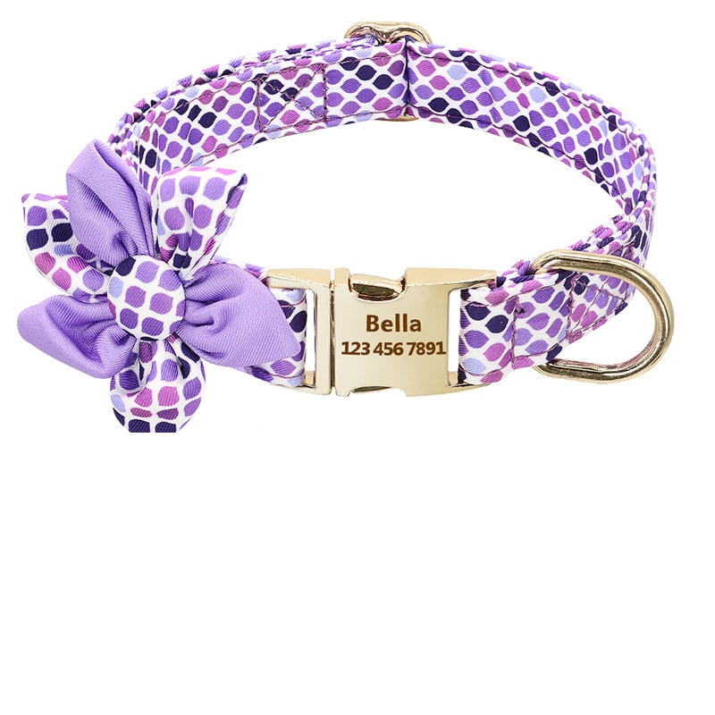 Pet fashion collars