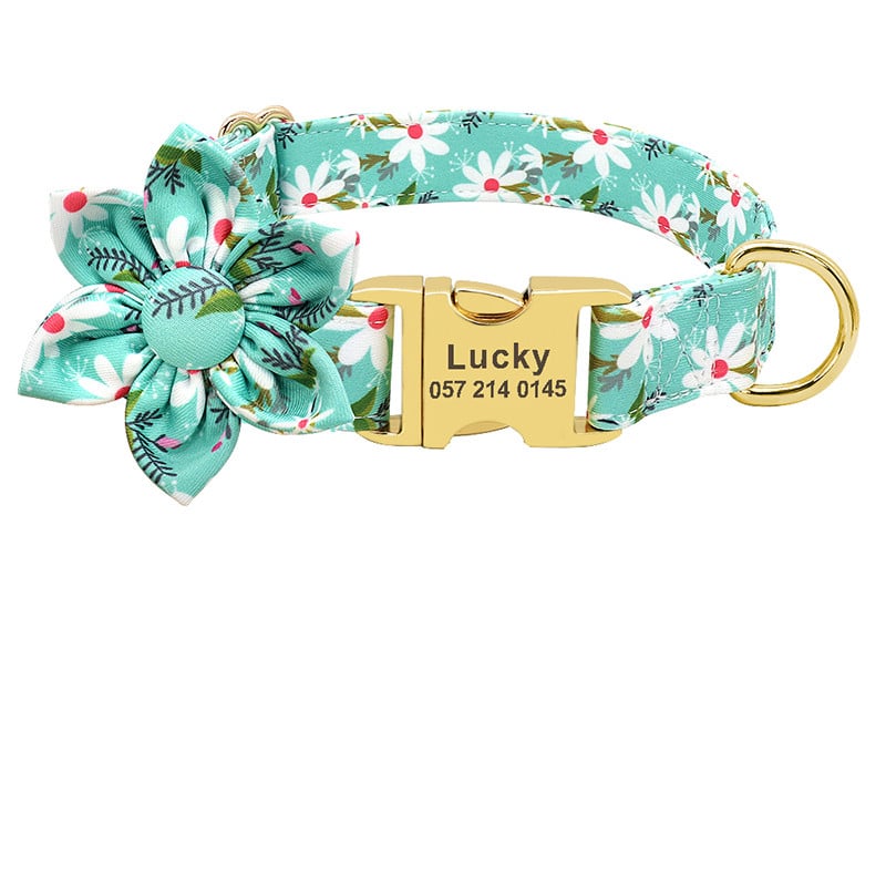 Dog collar with charm