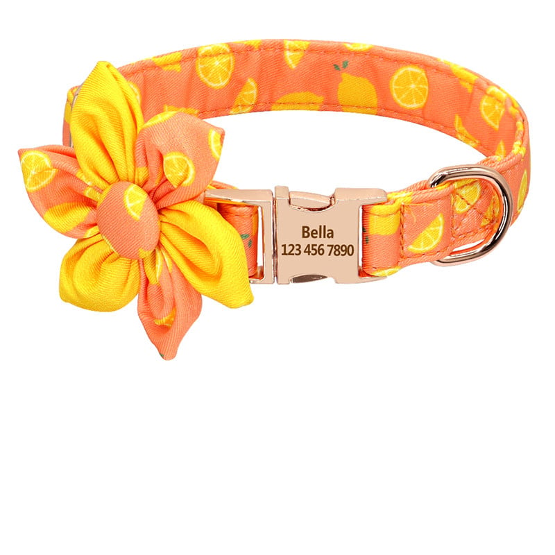 Pet collar options