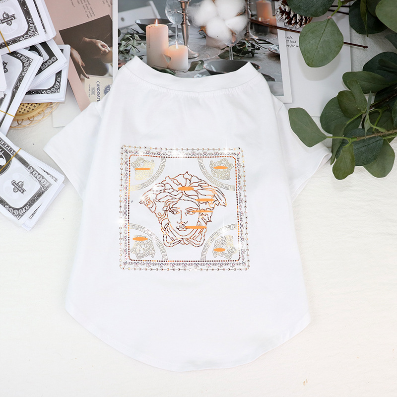 Schnauzer T-shirt lifestyle