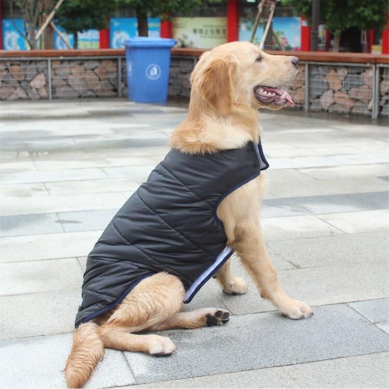 Winter Cotton Coat