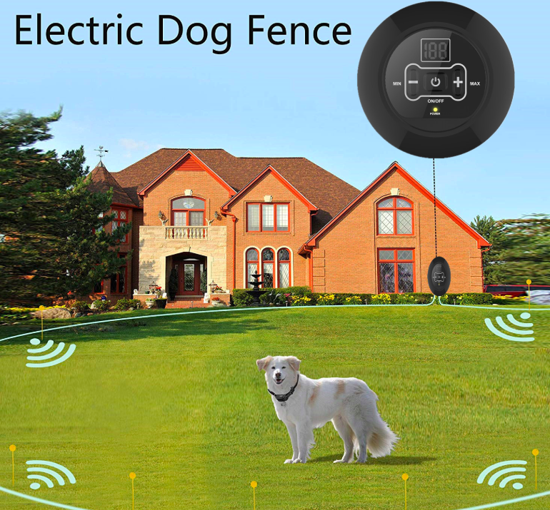 Wireless Pet Trainer Image 4