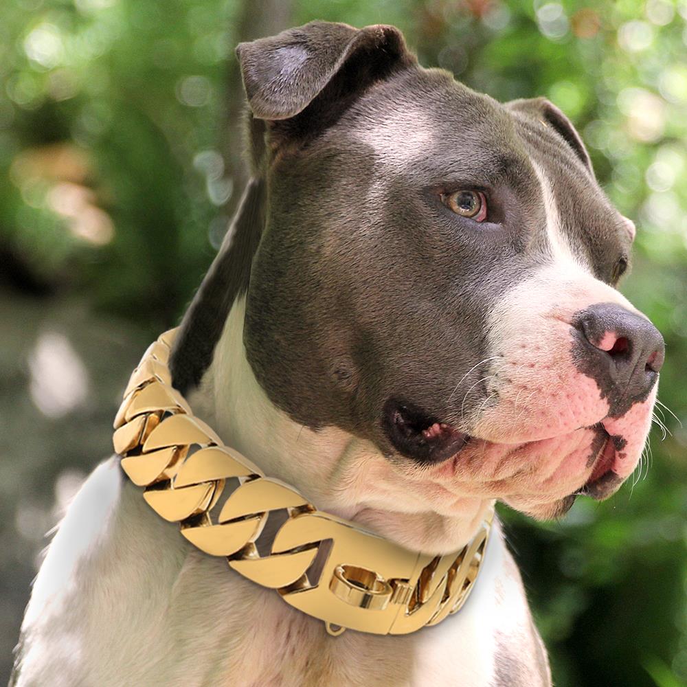 Stainless Steel Dog Chain Image 9