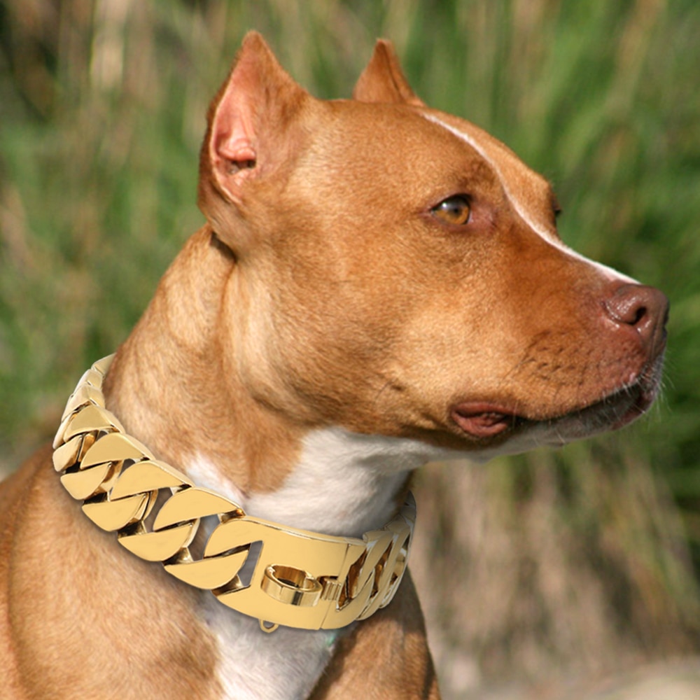 Stainless Steel Dog Chain Image 8