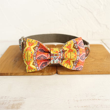 Funkadelic Collar and Leash Set Image 4