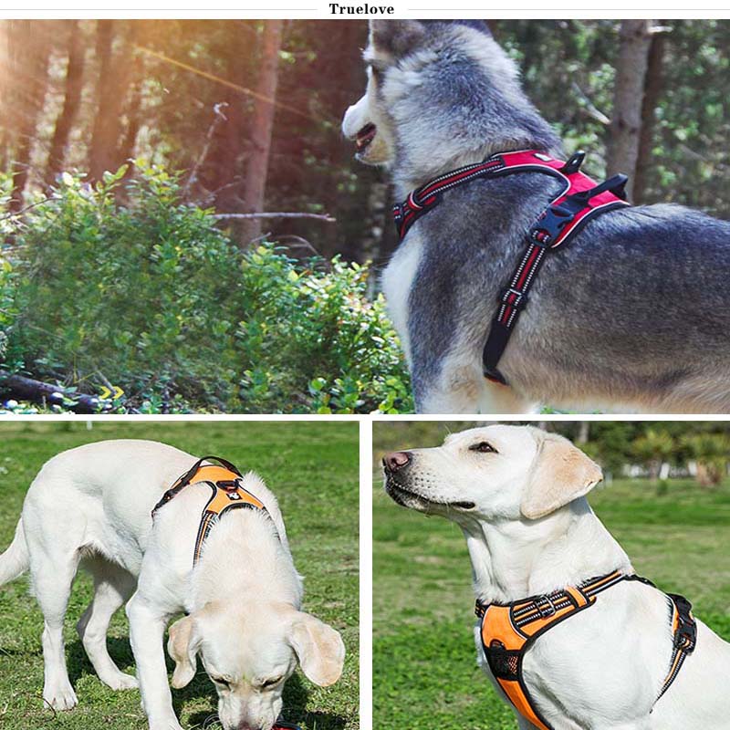 Truelove Harness in use