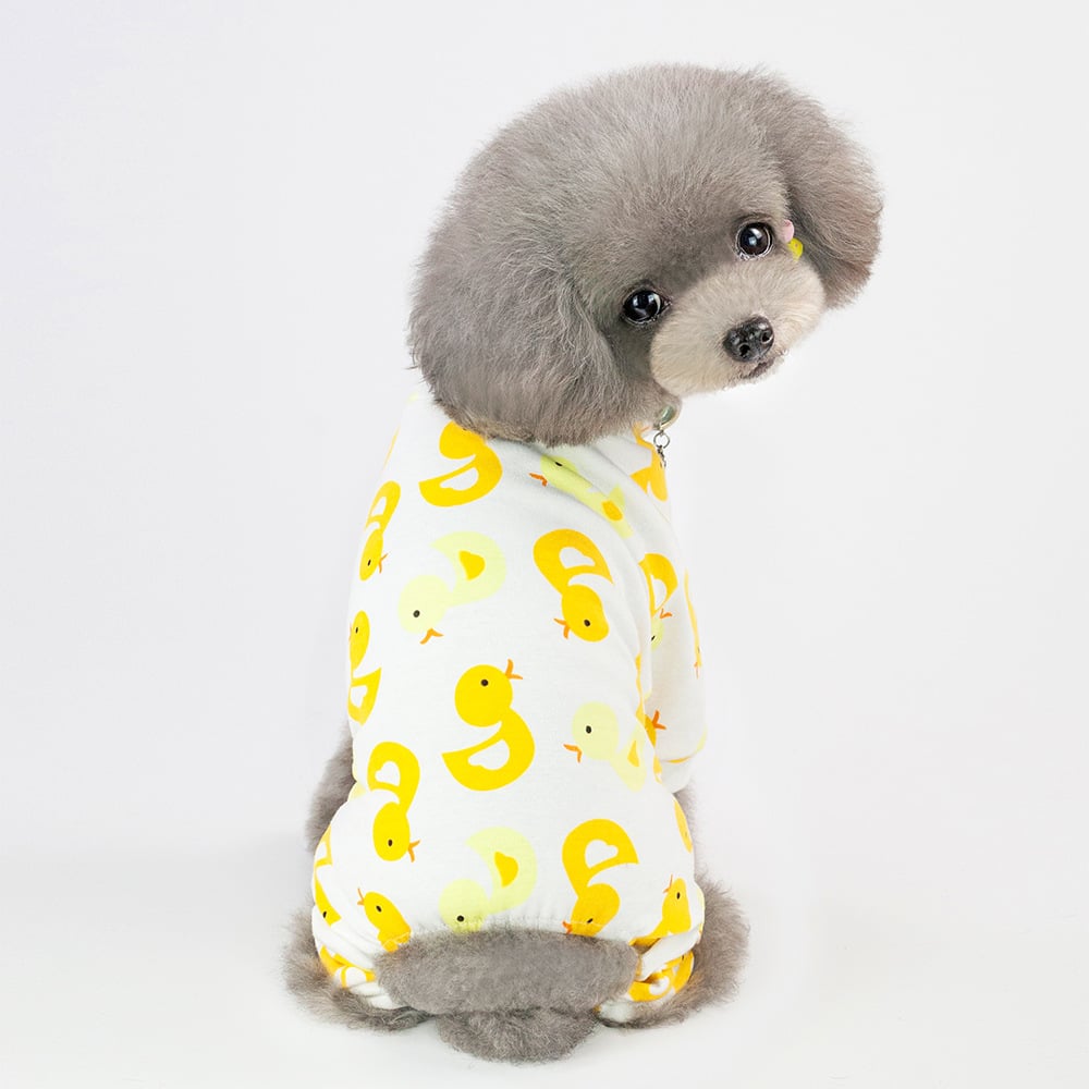 Dog Pajamas Design
