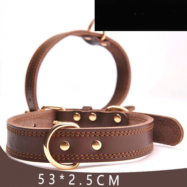 Leather dog collar