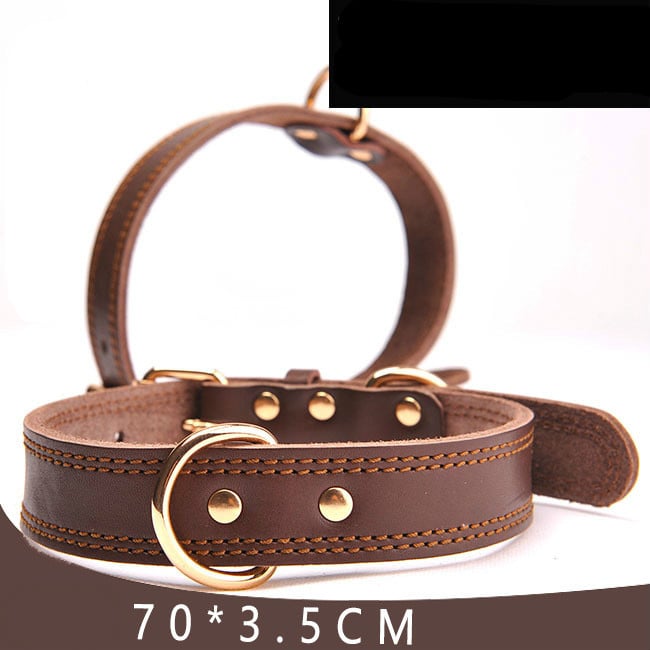 Leather dog collar