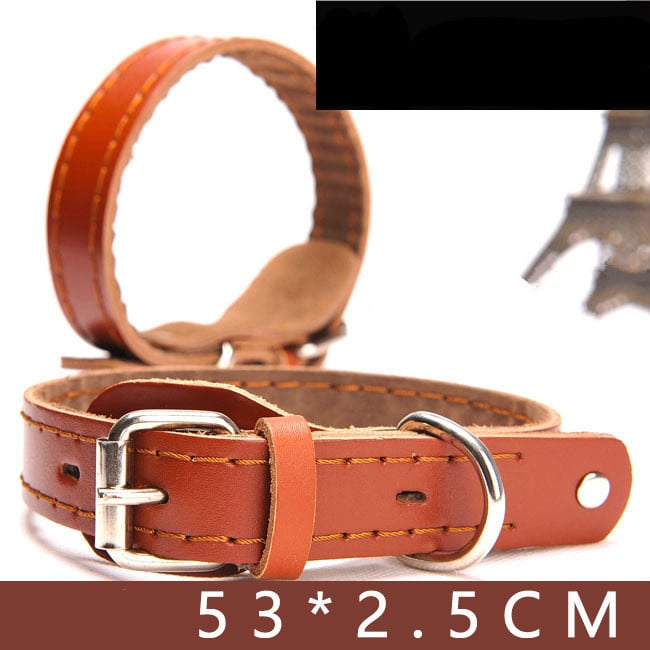 Leather dog collar