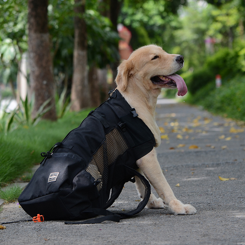 Pet Backpack Gray Color