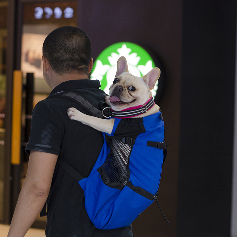 Pet Backpack in Use