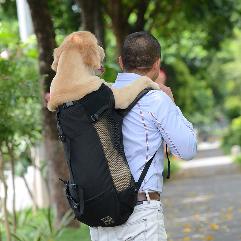 Pet Backpack Blue Color