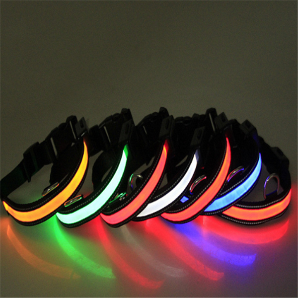 Fluorescent Dog Collar Image 3