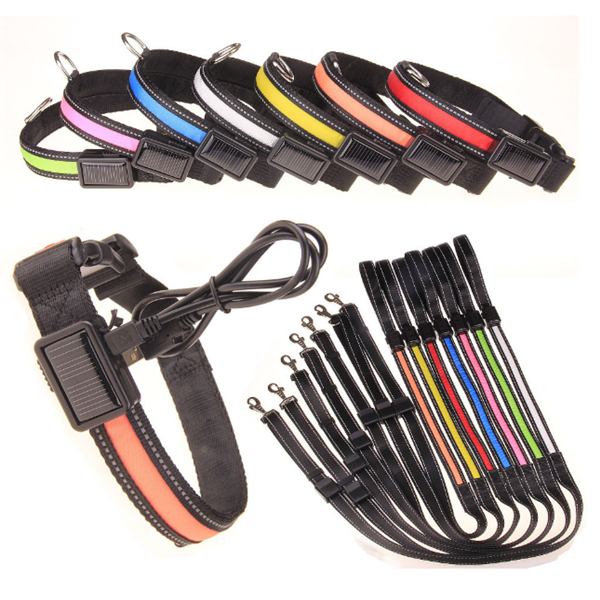 Fluorescent Dog Collar Image 1