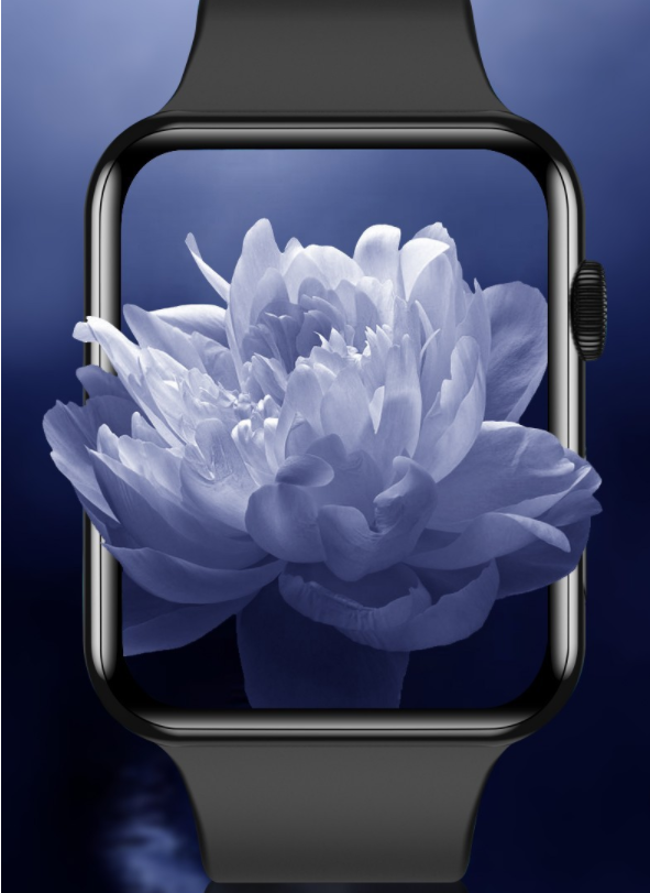 Protective Film Image 2
