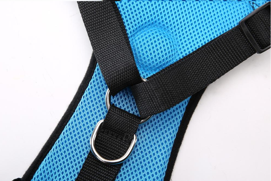 Dog Harness