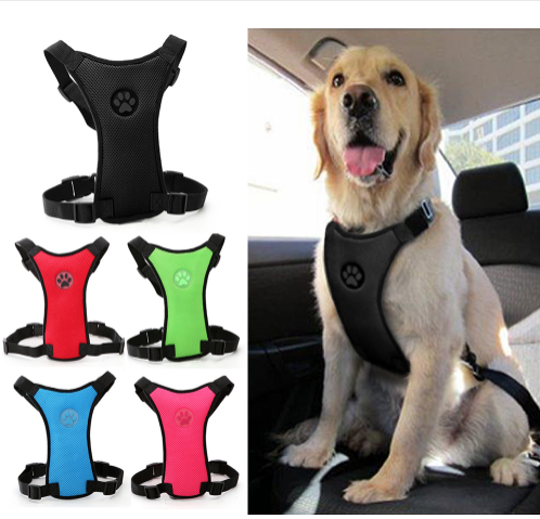 Dog Harness