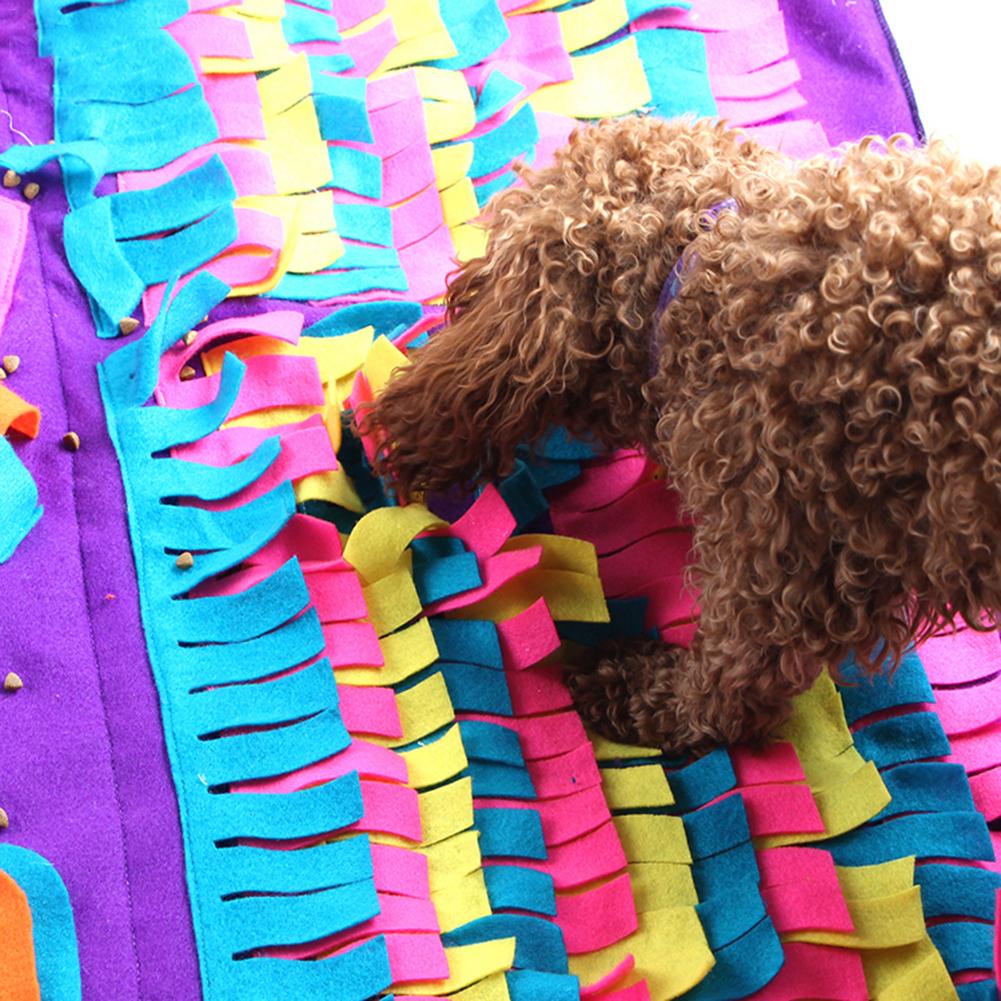 Pet Training Blanket