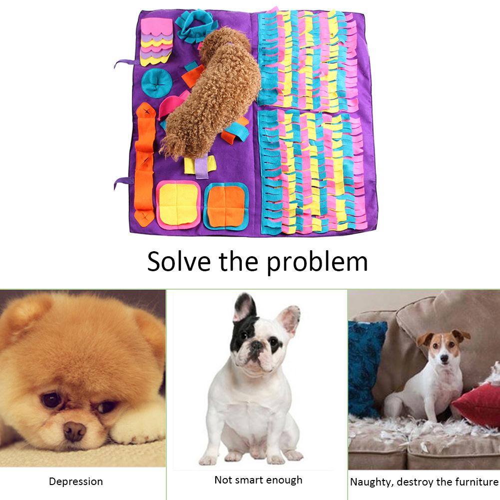 Pet Training Blanket