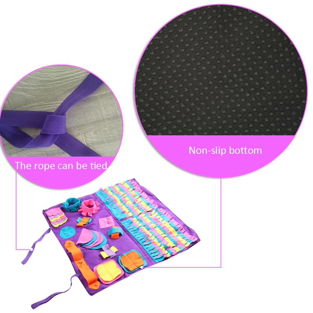 Pet Training Blanket