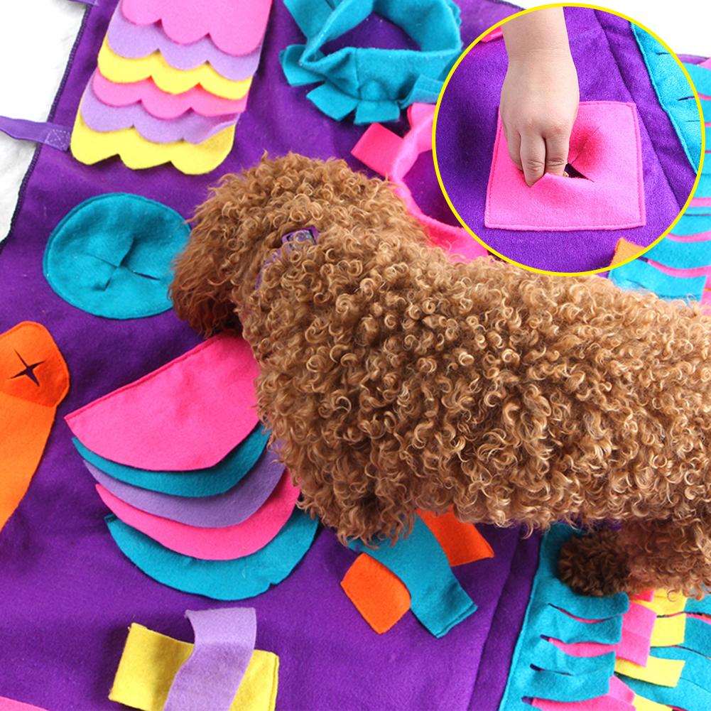 Pet Training Blanket
