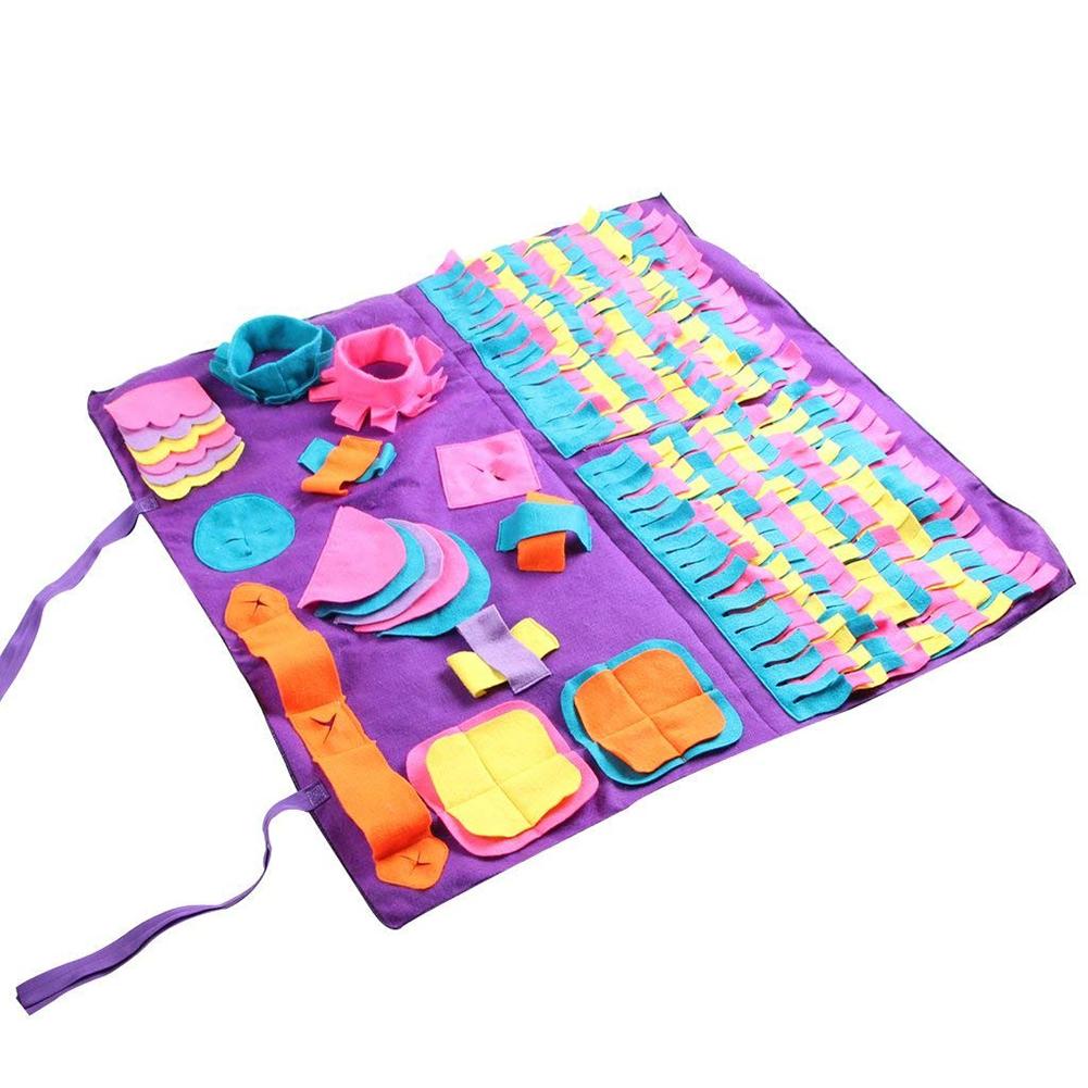 Pet Training Blanket