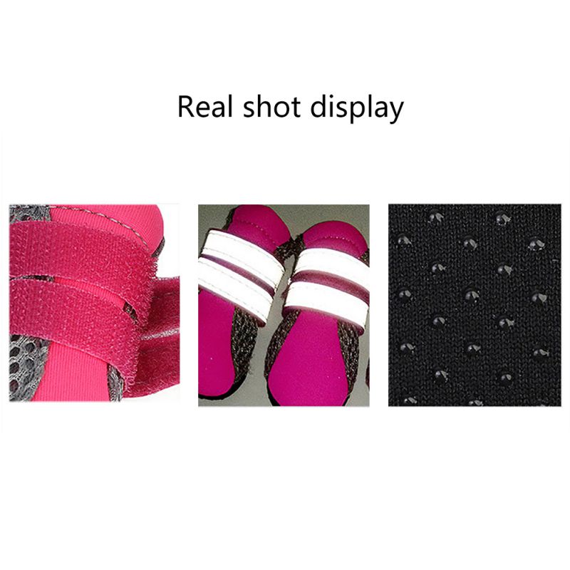 Zapatos Teddy para Perros - Imagen 3