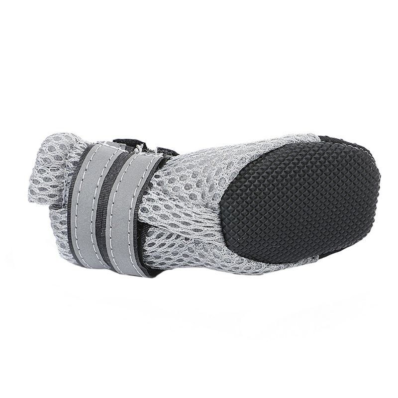 Zapatos Teddy para Perros - Imagen 5