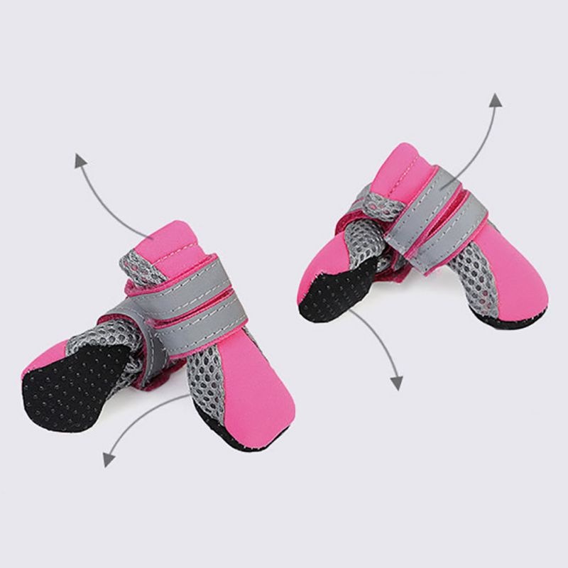Zapatos Teddy para Perros - Imagen 4