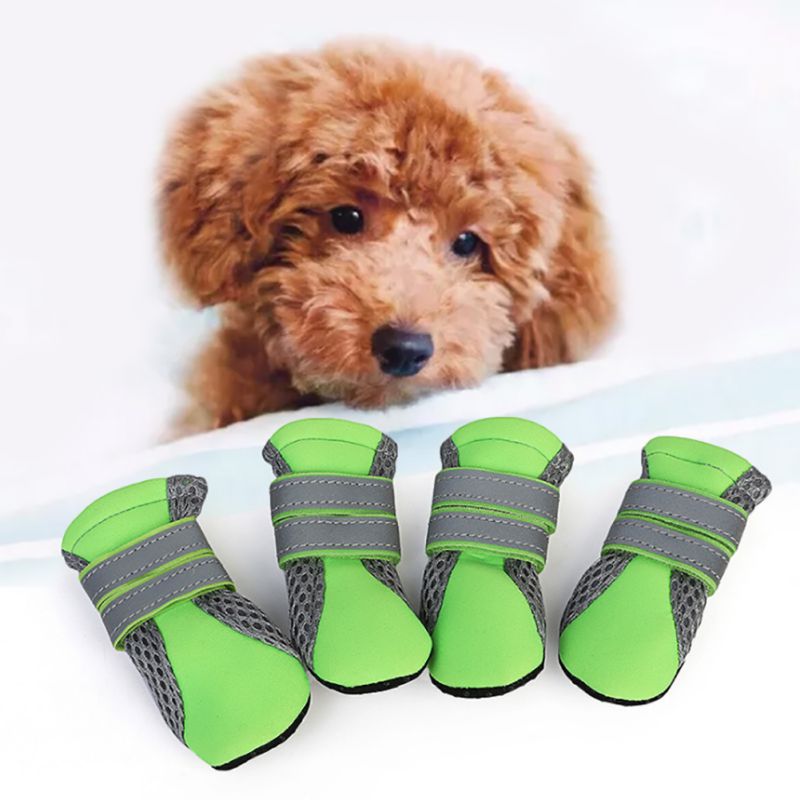 Zapatos Teddy para Perros - Imagen 1