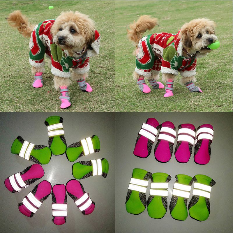 Zapatos Teddy para Perros - Imagen 2