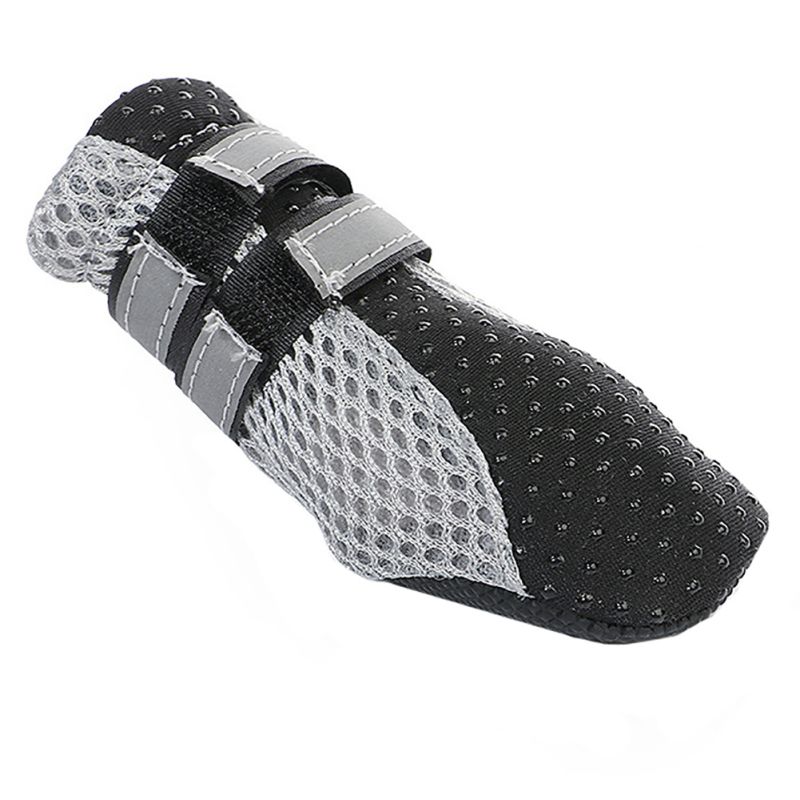 Zapatos Teddy para Perros - Imagen 6