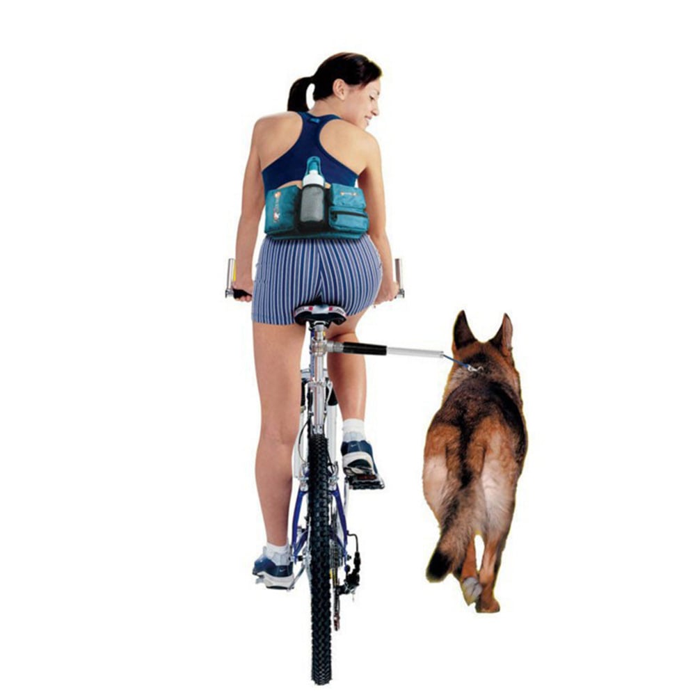 Bicycle Traction Dog Leash