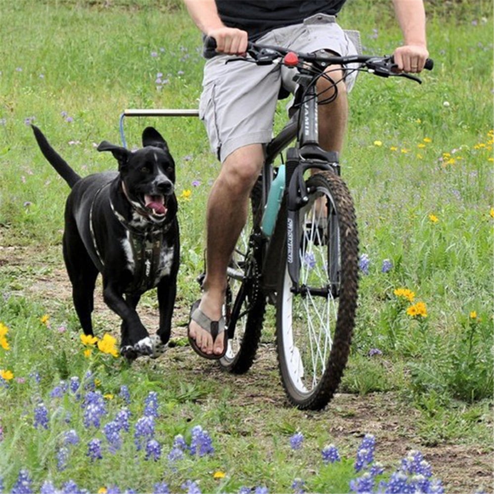 Bicycle Dog Leash in Action