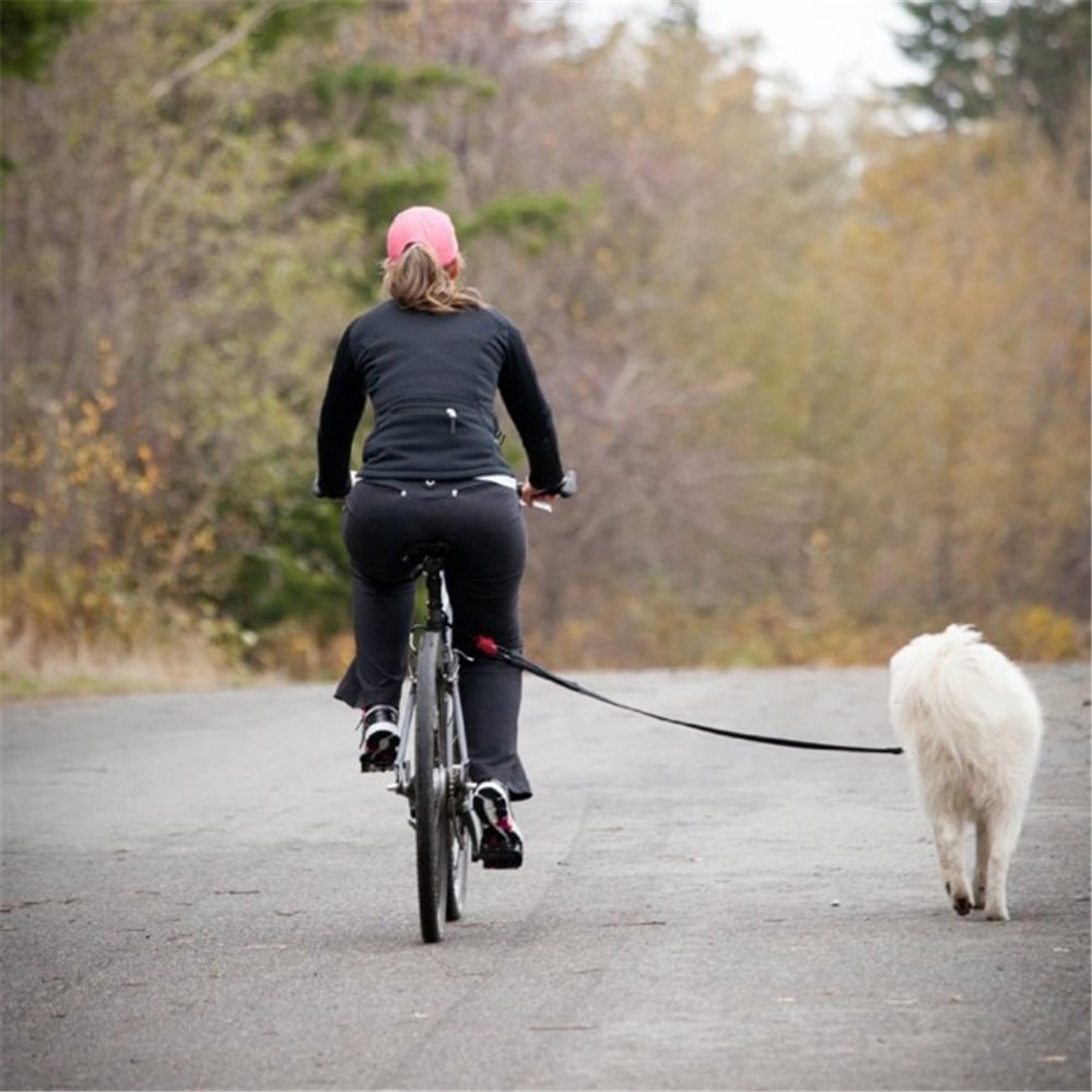 Lightweight Dog Leash