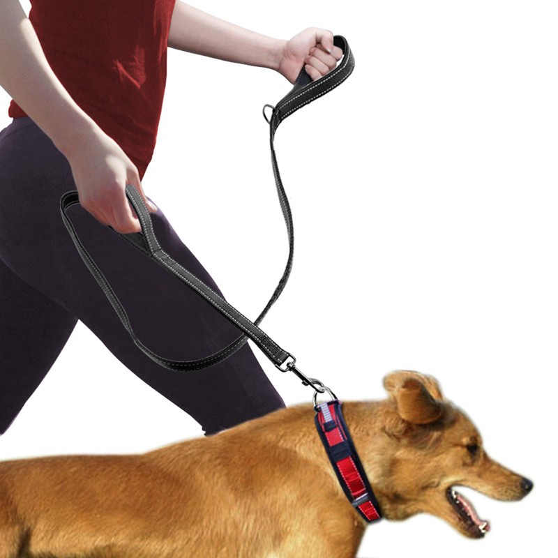 Pet Double Handle Pull Leash Image 1