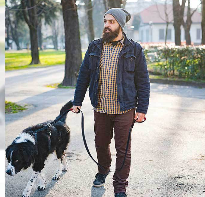 Pet Double Handle Pull Leash Image 4