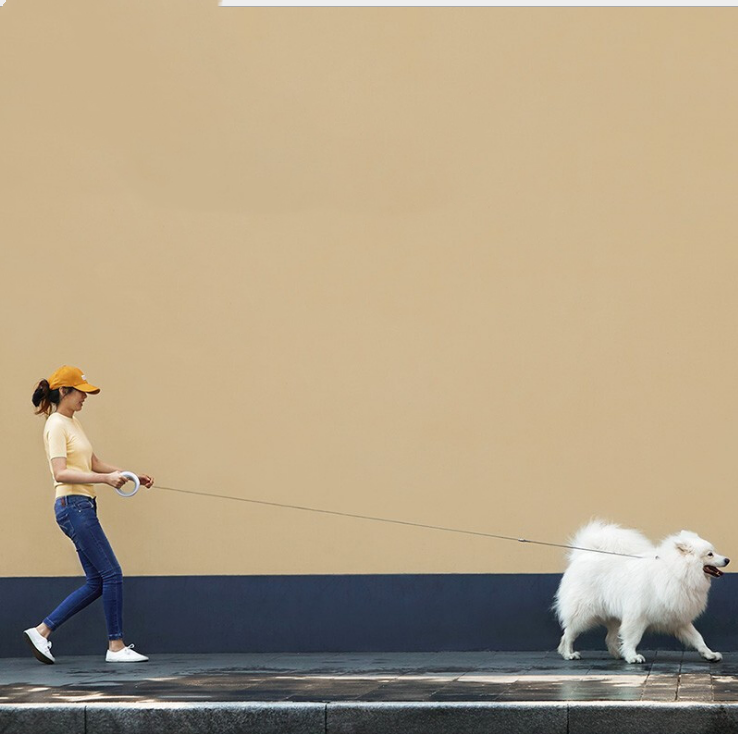 Trattore automatico per animali domestici Immagine 4