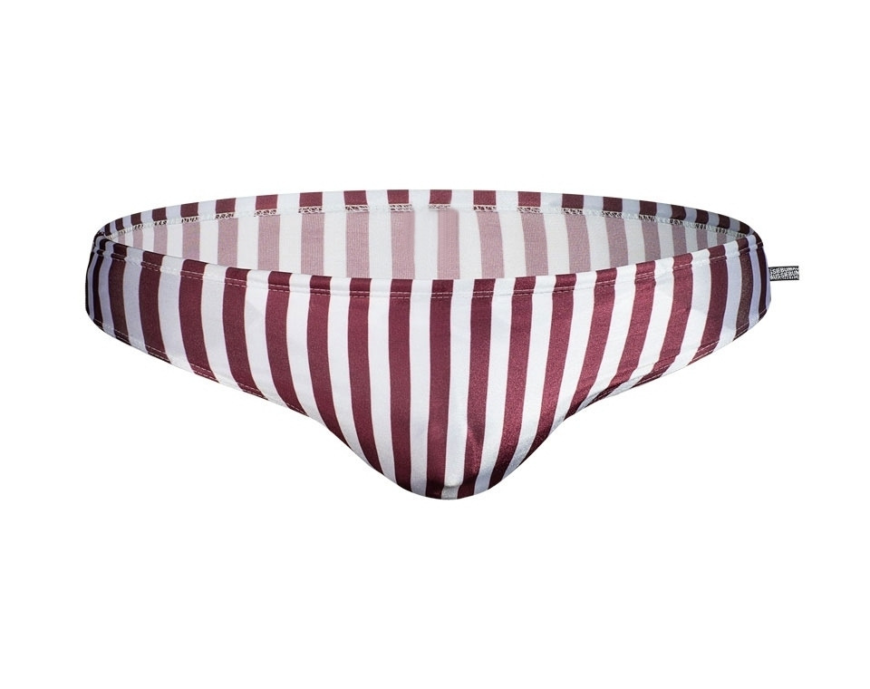 Swim Trunks Image 1