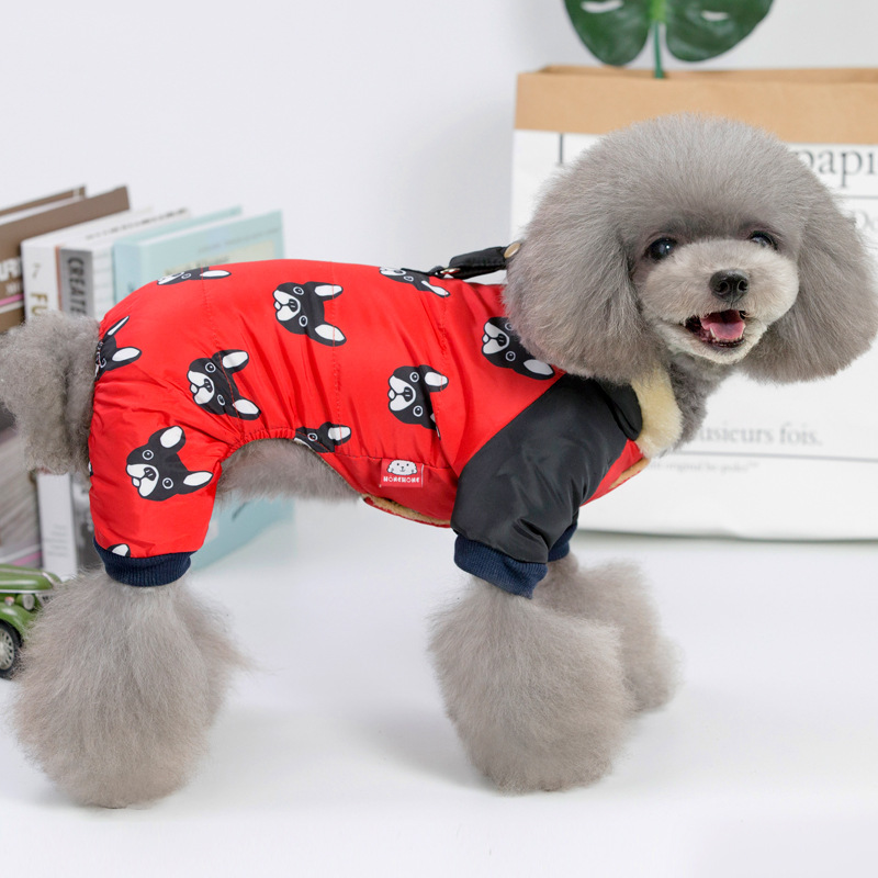 Dog Outfit 2